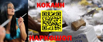 прущие крисы Кимры
