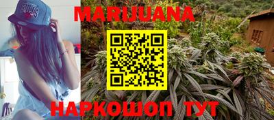 твердый Кингисепп