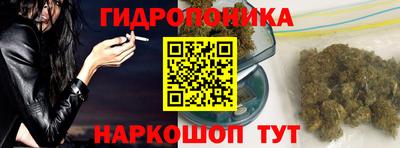 прущие крисы Кимры