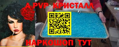 твердый Кингисепп