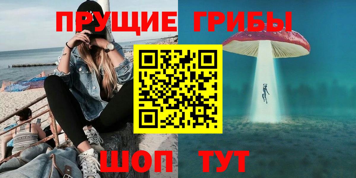 Псилоцибиновые грибы Psilocybe  Вход с VPN  Георгиевск 